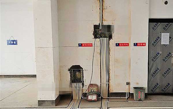 1641195878420041.jpg 7.jpg