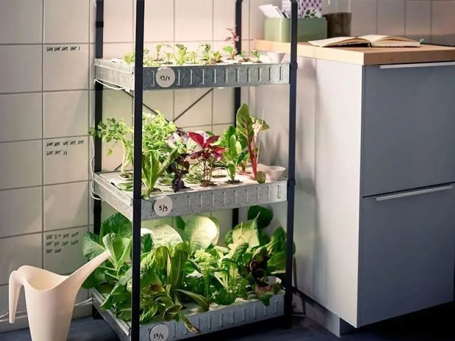 1688290650152197.png 1688290650152197.png